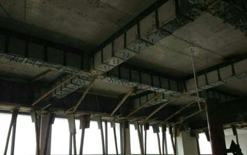 茂名房屋加固隊(duì)